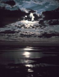 Moonbeams reflecting off the Beaufort Sea. Image