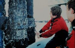 Performing maintenance on the tide gage installation at Cherry Point Image