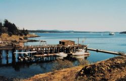 Friday Harbor area on the east side of San Juan Island Image