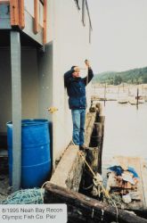 Performing reconnaissance for tide gage installation on the Olympic Fish Company pier. Image