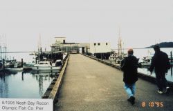 Performing reconnaissance for tide gage installation on the Olympic Fish Company Image