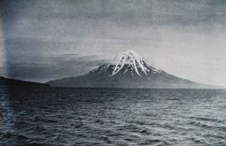 Mt Image