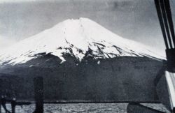 Mt Image