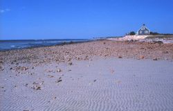 Black Beach, West Falmouth Image