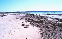 Black Beach, West Falmouth Image