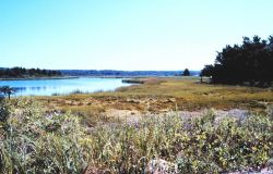 Great Sippewissett Marsh, West Falmouth Image