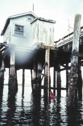 Inspecting the tide staff at Port Townsend. Image