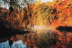 Early morning fog and autumn colors reflected in the Patuxent River at Wayson's Corner. Image