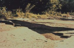Erosion damage to a beach near Baltimore as a result of Hurricane Floyd. Image