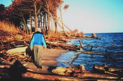Erosion damage to Port Isobel Island as a result of Hurricane Floyd. Image