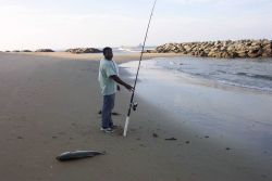 Fishing for striped bass at Cape Henry. Image