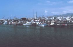 Fishing vessels in port at Terminal Island, Los Angeles area Image