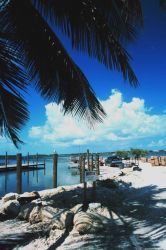 Fishing in paradise - the stone crab fishery at Islamorada Image