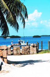 Fishing in paradise - the stone crab fishery at Islamorada Image