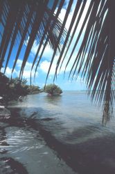 Pelican Point Beach Image