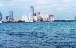 Miami skyline Image