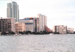 Miami skyline Image