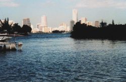 Miami skyline Image