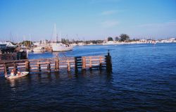 Shrimp boats docked along the Caloosahatchee River Photo