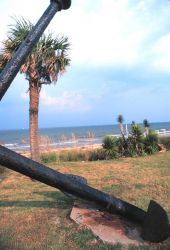 Palmetto trees (Sabal palmetto) as seen through an old anchor Image