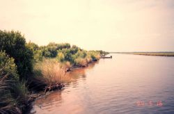 Man-made canal with eroding bank Image