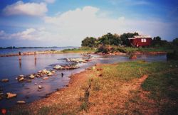 Mississippi River levee with river water coming through and flowing to a marsh east of the river Image