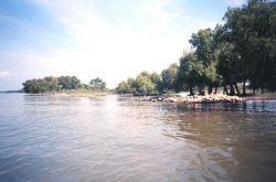 Mississippi River during moderate spring flooding Image