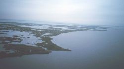 Eroding marsh peninsula between Bayous Perot and Rigolettes Image
