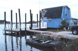 M&M Live Bait Store features tackle, live bait, and refreshments for the recreational fisherman. Image