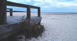 The sandy beach at Biloxi Image