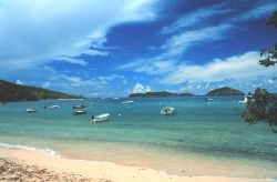 Fishing and pleasure boats at Hull Bay Image