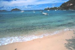 Fishing and pleasure boats at Hull Bay Image