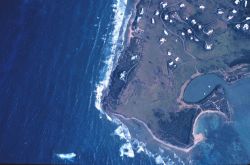 Aerial view of west side of Salt River Bay. Image