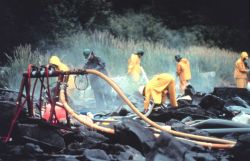 Pressure cleaning rocks on intertidal zone. Image
