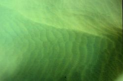 Giant sandwaves as seen from NOAA helicopter during SHOALS Lidar survey. Image