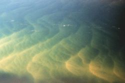 Giant sandwaves as seen from NOAA helicopter during SHOALS Lidar survey. Image