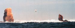 Alijos Rocks in the middle of nowhere off the Mexican Coast. Image