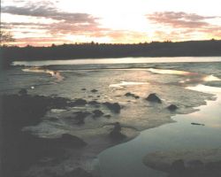 Penobscot River mudflat at low tide showing pattern of tidal streams. Image