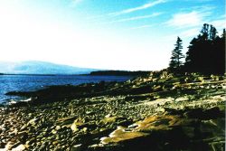 Grindstone Point on Schoodic Head Image