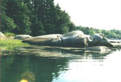 A fine example of glacial plucking showing direction of glacial ice motion from left to right in the image. Image