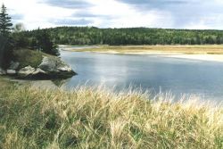 Morse River Inlet showing tidal marsh with bedrock exposed on the periphery. Image