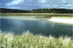 Morse River Inlet showing tidal marsh showing prograding of the barrier spit. Image