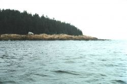 Glacial erratic boulder (white boulder in left center) trapped on eroding granite shoreline. Image