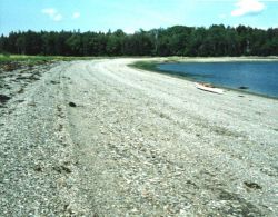 Philbrook Cove on 700 Acre Island. Image