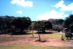 In the crater at Diamond Head State Park. Image