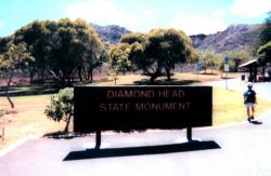 In the crater at Diamond Head State Park. Image