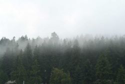 Low rain clouds as seen looking across Gig Harbor. Image