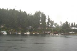 A rainy day at Gig Harbor. Image