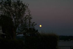 Moonrise over Tacoma as seen from Point Fosdick. Image