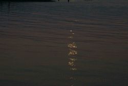 Moon beams on the still waters of Gig Harbor. Image